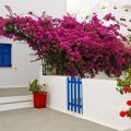 Grund-pentru-vopseli-interior-baie-bucatarie-dormitor-Idroacril-Boero-md