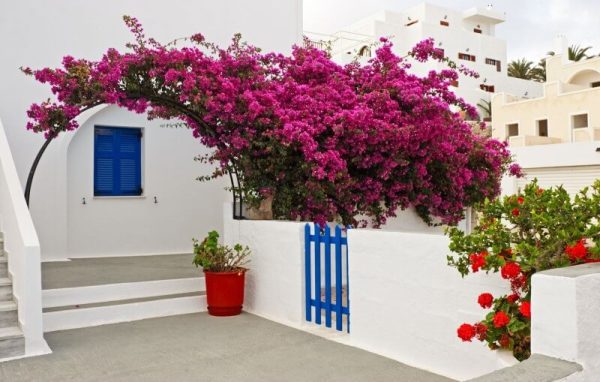 Grund-pentru-vopseli-interior-baie-bucatarie-dormitor-Idroacril-Boero-md